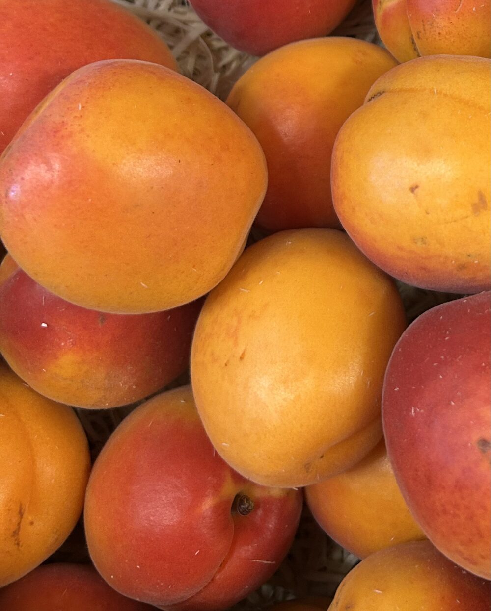Fruits Locaux