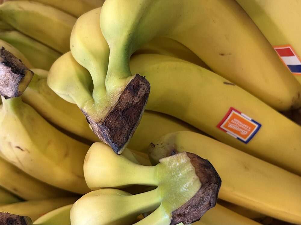 Banane Martinique