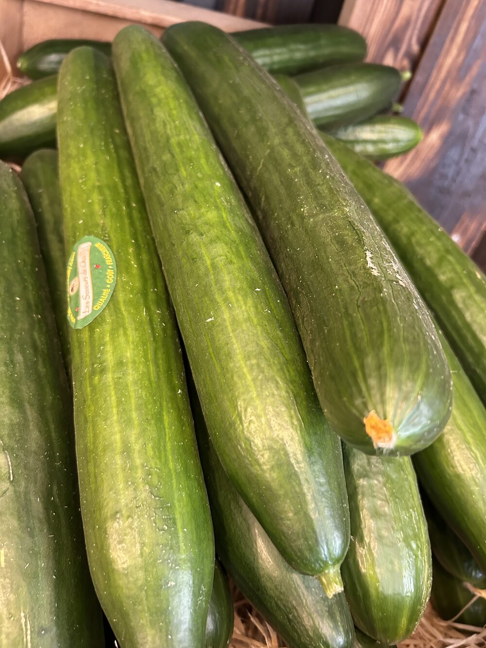 Concombre