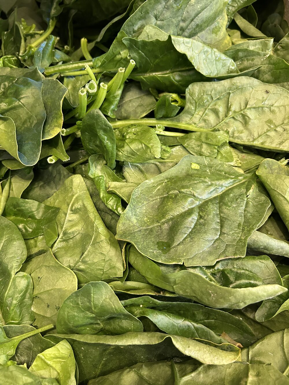 Épinard