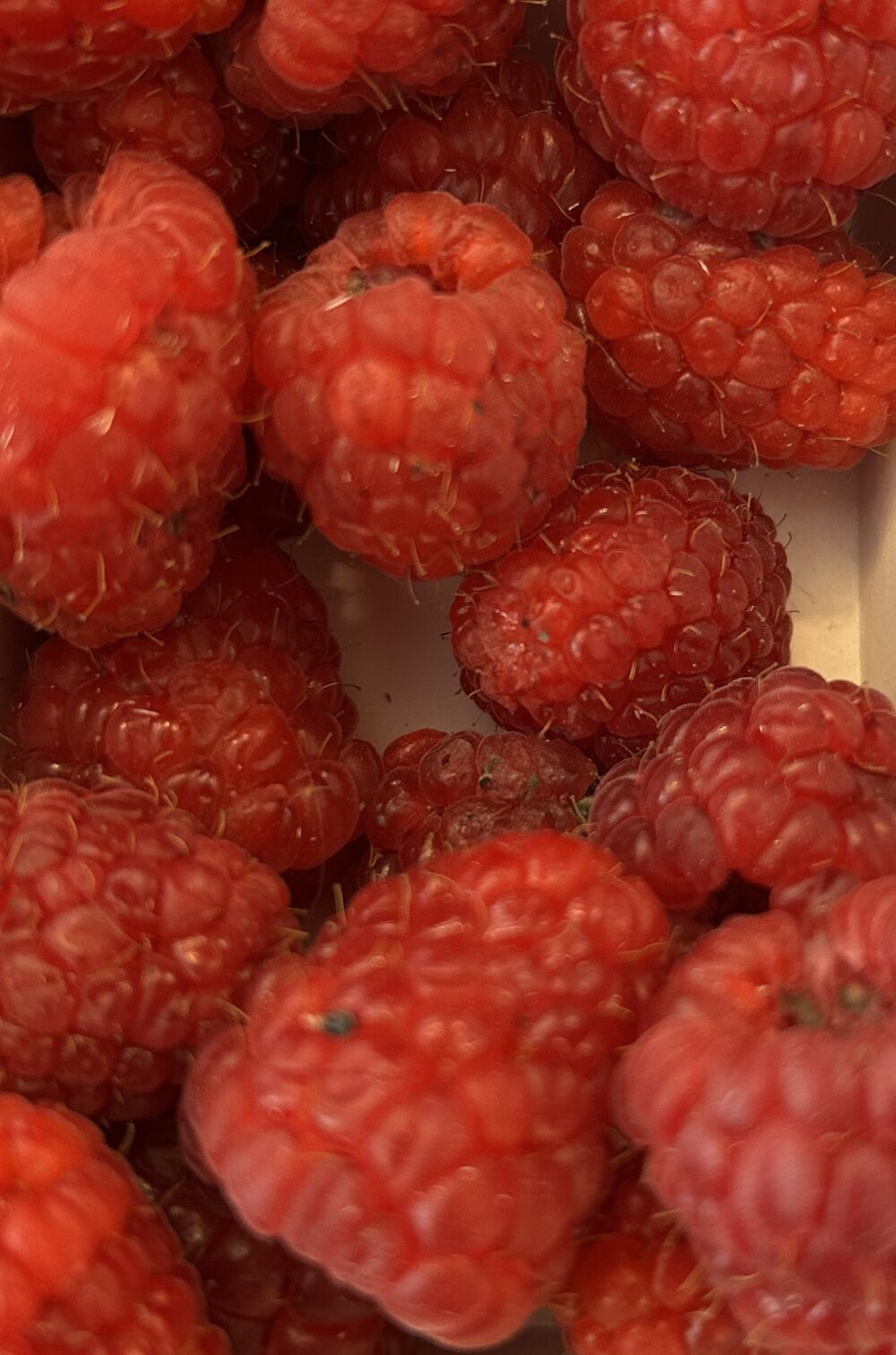 Framboise