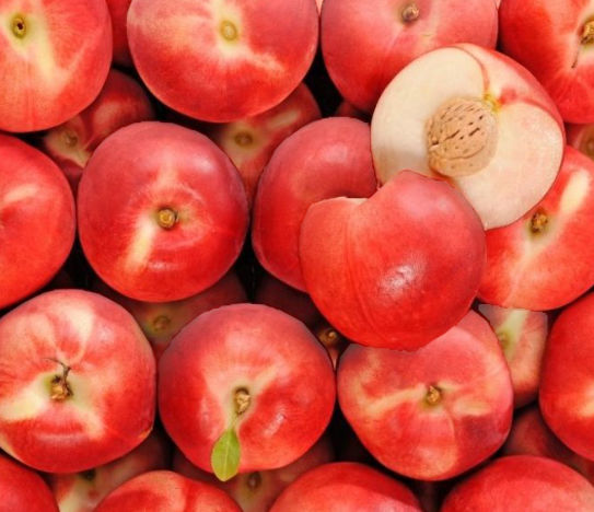 Nectarine blanche restauration