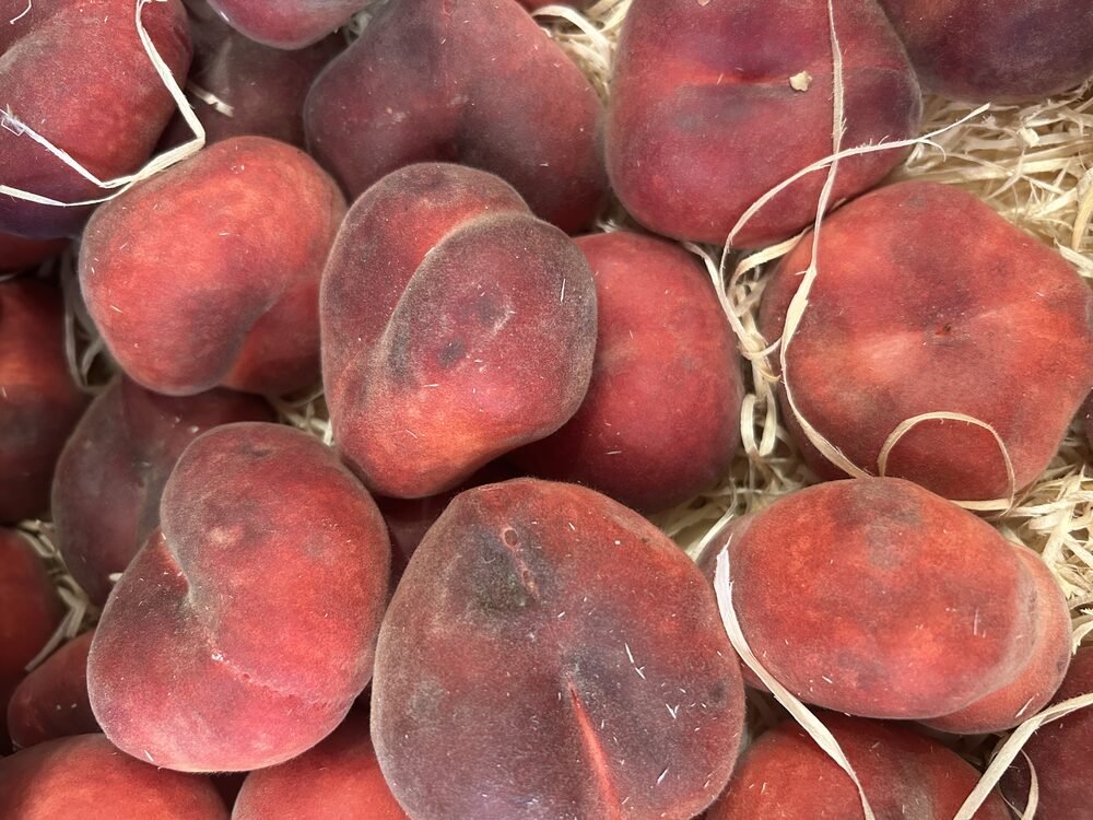 Nectarine plate
