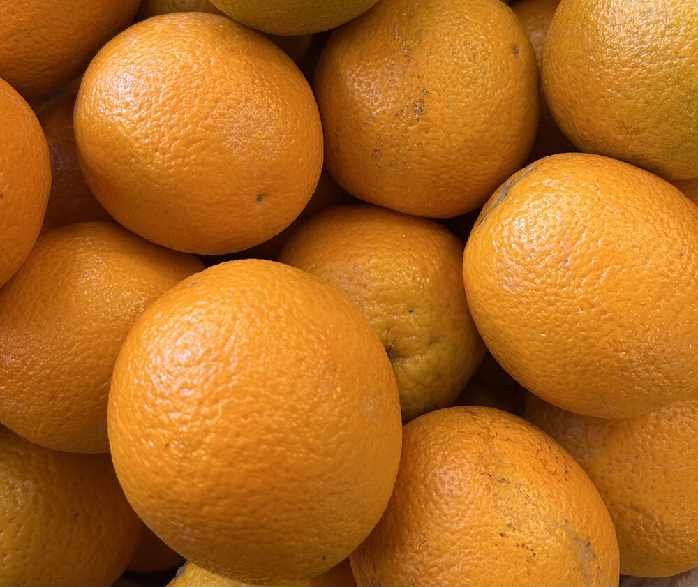 Orange à jus