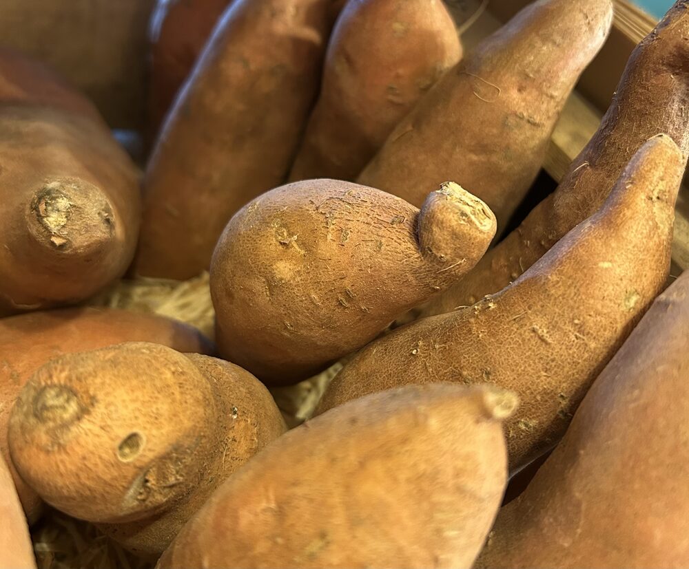 Patate douce