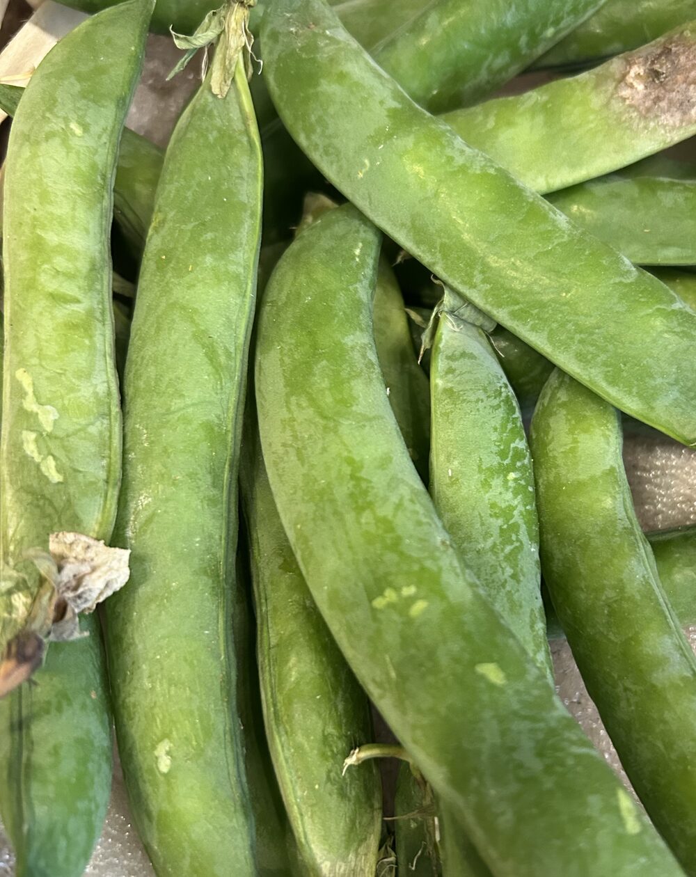 Petit pois