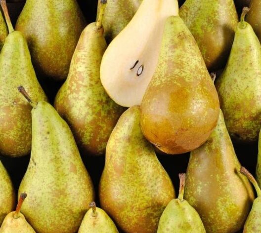 Poire Conférence