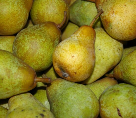 Poire William