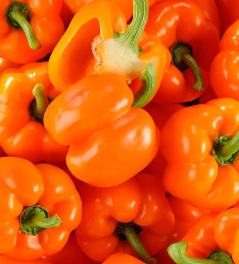 Poivron orange