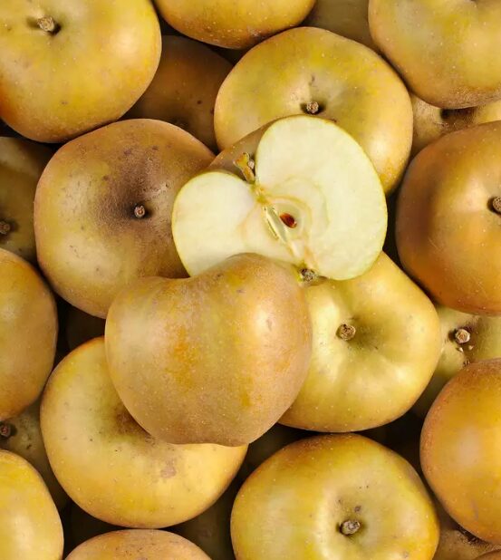 Pomme Canada