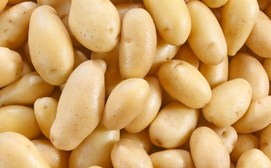 Pomme de terre Grenaille