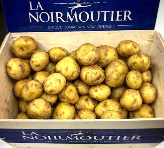 Pomme de terre Nouvelle (Noirmoutier)