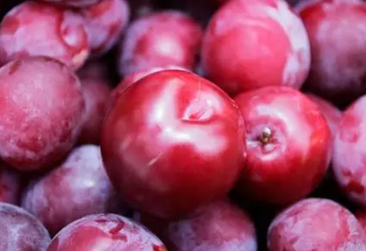 Prune rouge