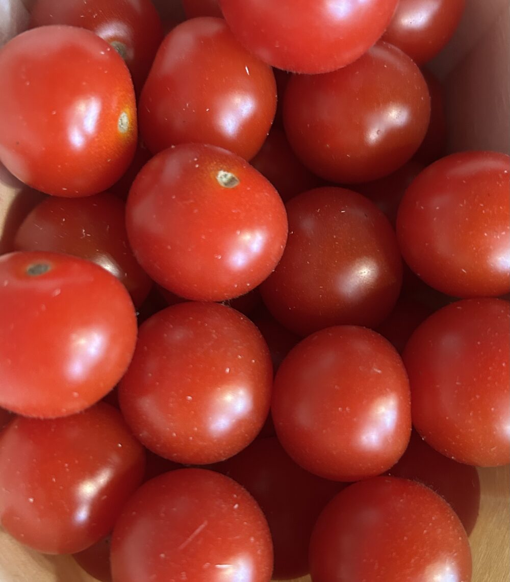 Tomate cerise barquette